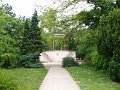 Margitsziget - zenelo kut-1